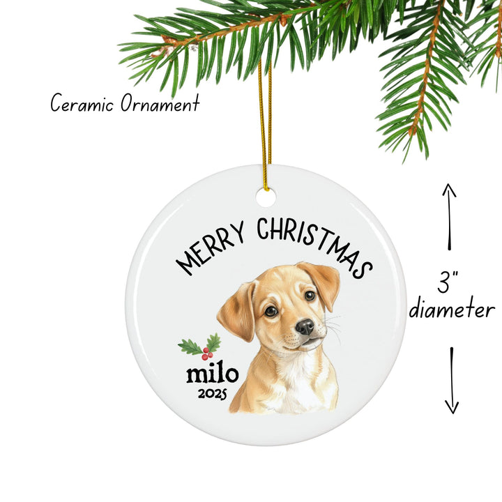 Personalized Pet Photo Christmas Ornament: Pet Adoption Ornament