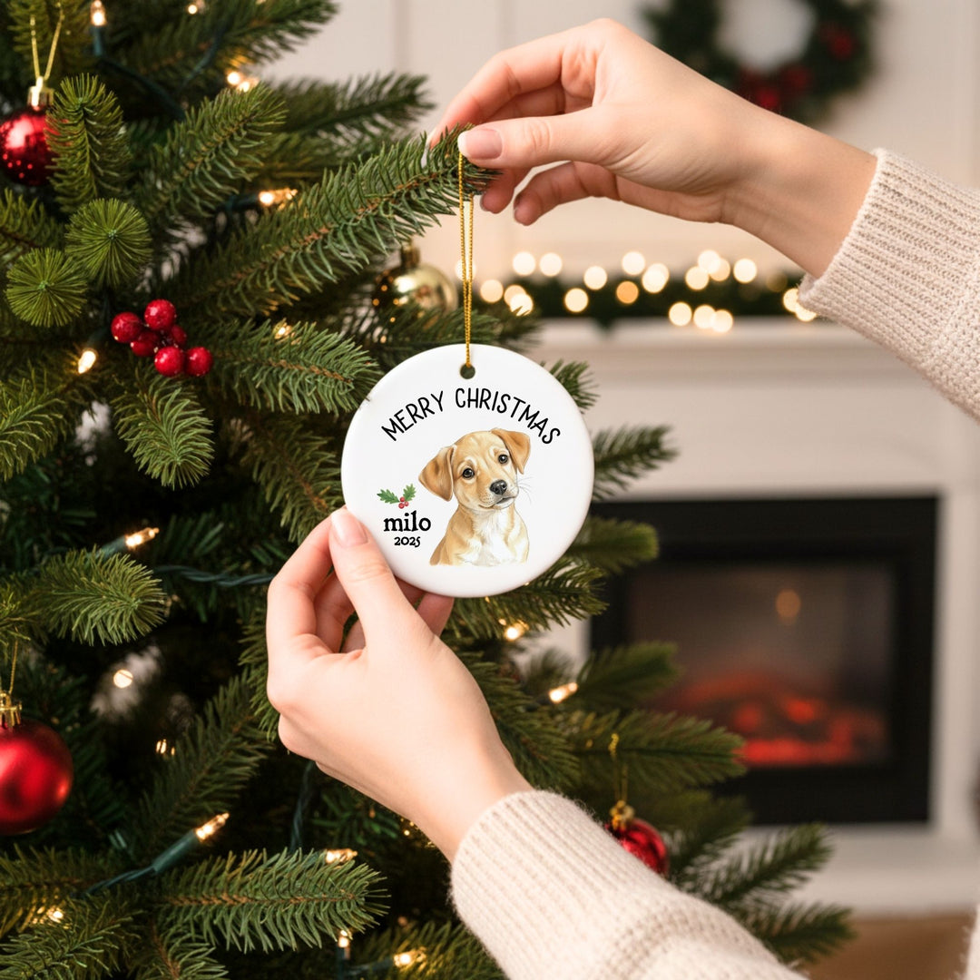 Personalized Pet Photo Christmas Ornament: Pet Adoption Ornament