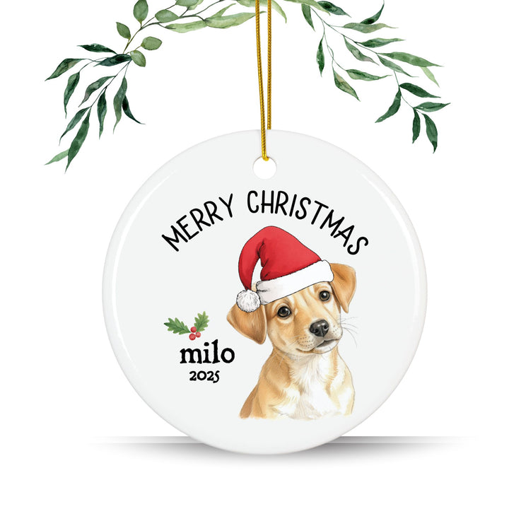 Personalized Pet Photo Christmas Ornament: Pet Adoption Ornament
