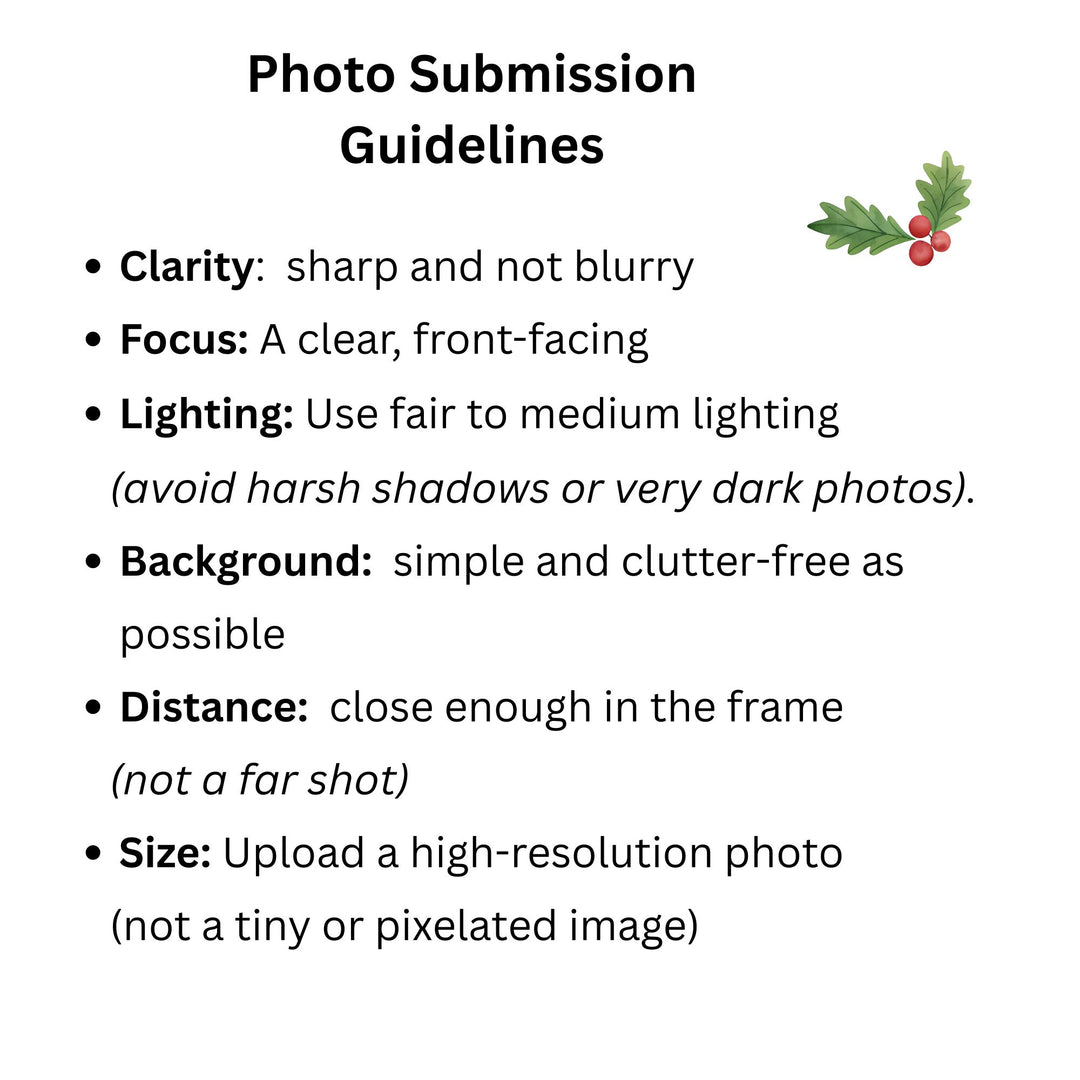 Personalized Pet Photo Christmas Ornament: Pet Picture Ornament